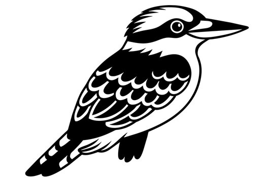 recommend clip art: kookaburra silhouette vector illustration