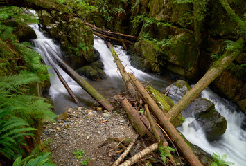 Steelhead Falls Rapids British Columbia. Water flowing over rapids at Steelhead Falls near Mission BC.

