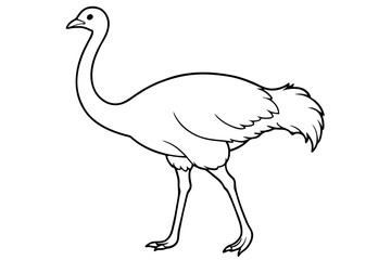 emu silhouette vector illustration