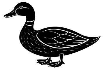 duck silhouette vector illustration