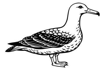 albatross silhouette vector illustration