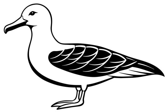 recommend clip art: albatross silhouette vector illustration