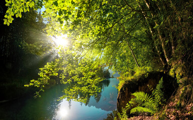 The sun shines bright through lush green tree branches over the gorgeous turquoise water of a lake - 767470073