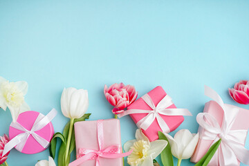 Gift boxes with beautiful tulips and daffodil flowers on blue background