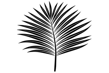 palm leaf in minimalist style line silhouette vector art illustration
