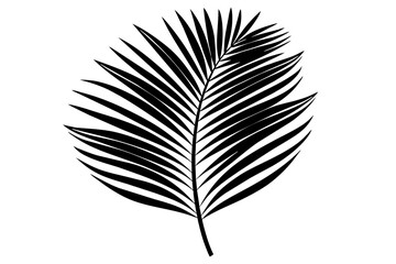 palm leaf in minimalist style line silhouette vector art illustration