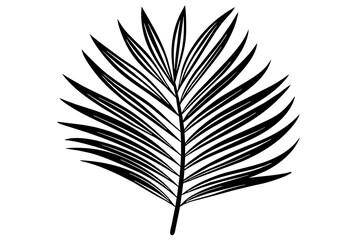 palm leaf in minimalist style line silhouette vector art illustration