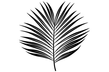 palm leaf in minimalist style line silhouette vector art illustration