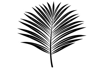 palm leaf in minimalist style line silhouette vector art illustration