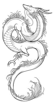 Chinese dragon drawn with lines. Contour drawing. Mythical animal-symbol of China and Asian countries. Symbolic animal of 2024. Zodiac sign dragon. Culture of Asian countries.