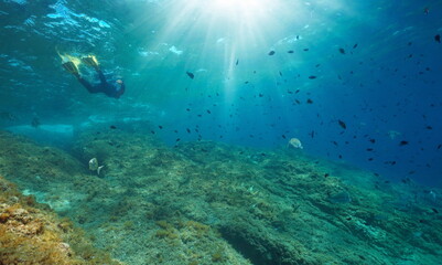 Snorkeling in the Mediterranean sea with fish shoal and sunlight underwater, natural scene, France,...