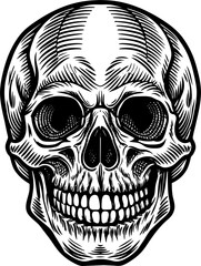 human Skull drawing vector illustration graphic element on a Transparent Background