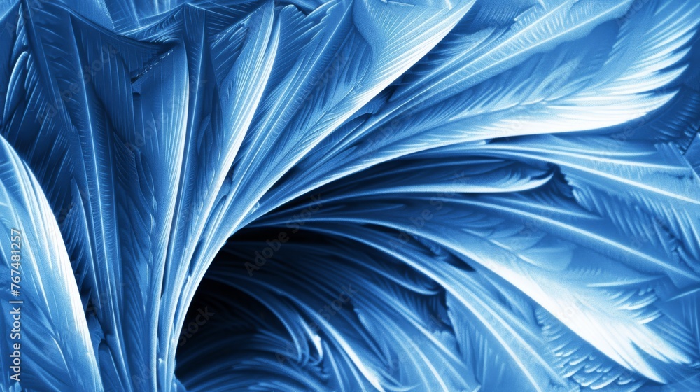 Poster a close up of a blue and white background with a large amount of feathers in the center of the image