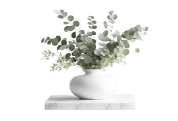 podium products empty blank 3D vase
 green beauty white stylish fresh splay beautiful render eucalyptus bouquet space marble leaves poduim table dais product background bouquet ceramic plant nature