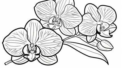  a black and white picture of a flower with a long stem of flowers in the center of the picture is a drawing of a flower on a white background.
