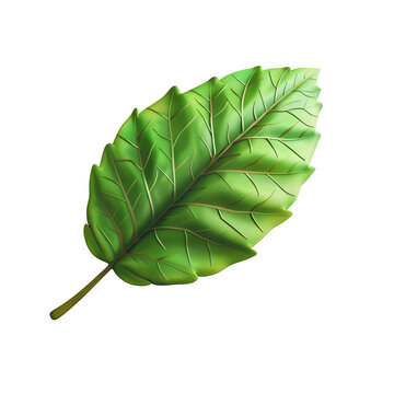 Simple Render of Cute 3D Cartoon Leaf: An Element for Design and Decoration, Isolated on Transparent Background, PNG