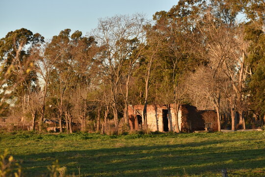 tapera