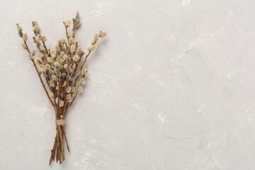Pussy willow branches on concrete background, top, view. Palm Sunday concept © Liami