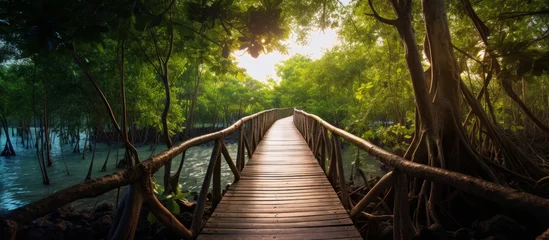 Papier Peint photo Tower Bridge A wooden bridge spans over a tranquil river within a dense forest, surrounded by towering trees, lush greenery, and a natural landscape