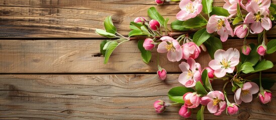 Fototapeta na wymiar Spring flower branch on wooden backdrop with apple blooms.