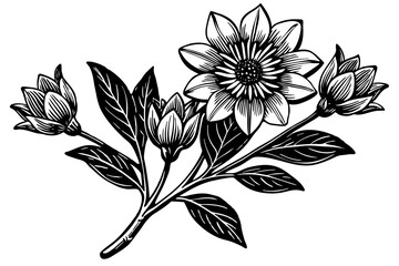 blandfordia glandiflora flowers silhouette vector art illustration
