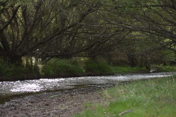 arroyo