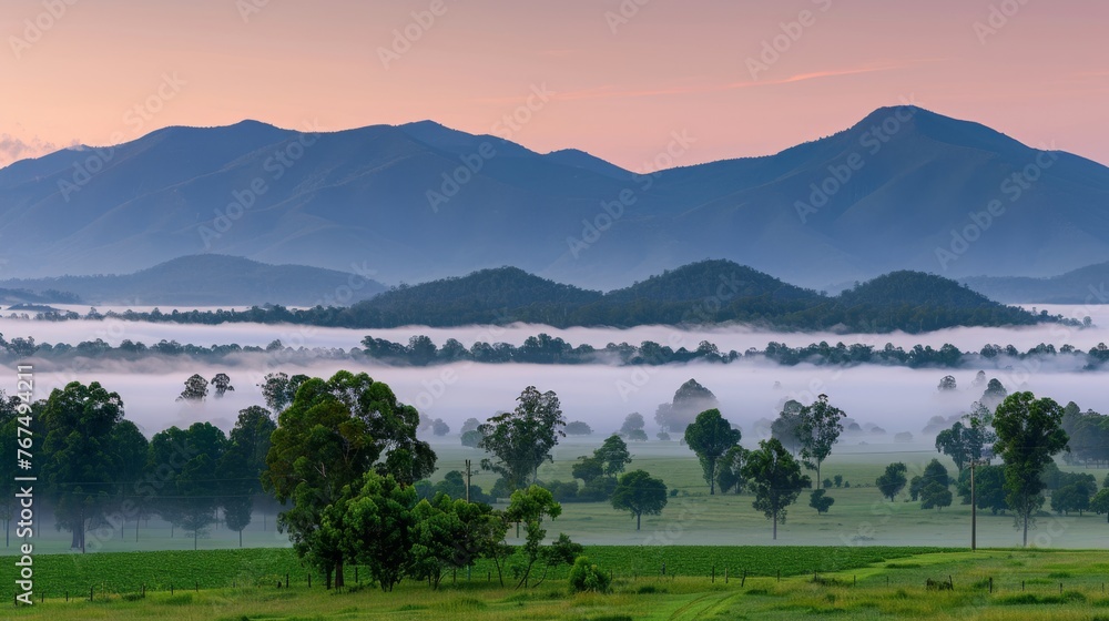 Poster a view of a mountain range in the distance with trees in the foreground and fog in the foreground.