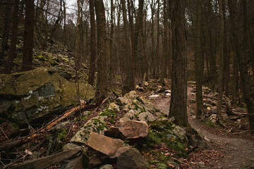 Rocky trail through an Appalachian Mountain trail in central Pennsylvania during winter