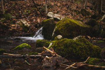 Moss-covered rocks and a stream of flowing water in brown woods during winter