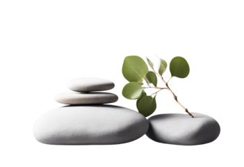 background gray copy splay stones spase platform Stack podium twig scene product empty eucalyptus presentation leaf light Minimal poduim stone dais leaf eucalyptus pedestal platform display product
