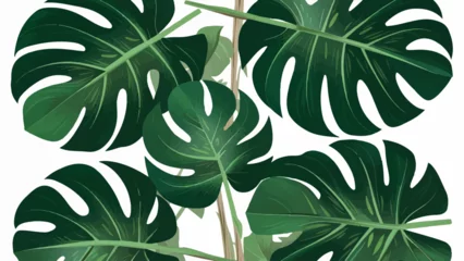 Tuinposter Monstera Vintage Green Monstera leaves on a seamless background, flat vector design.