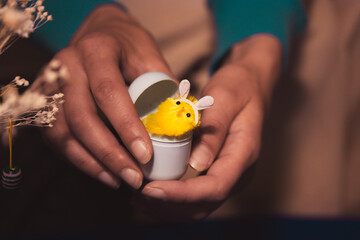 Woman holding a toy chicken egg in hands with a yellow funny little chick with bunny rabbit's ears...