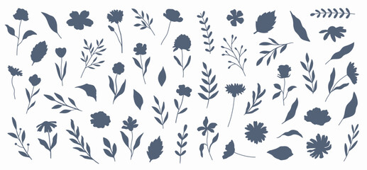 Botanical set of flowers, leaves, branches. Hand-drawn silhouettes of plants