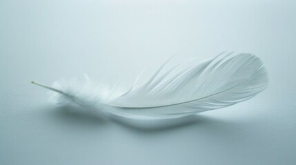 A feather descending gracefully on paper
