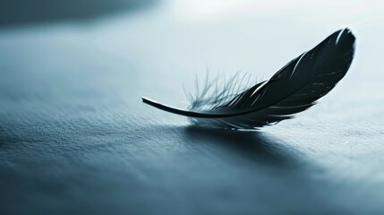 A feather descending gracefully on paper - obrazy, fototapety, plakaty