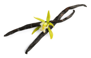 Vanilla pods and beautiful flower isolated on white