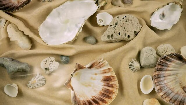 Imitation of the seabed. Oyster and scallop shells, sea pebbles on sand-colored fabric underwater. Ripples on the surface of clear water.