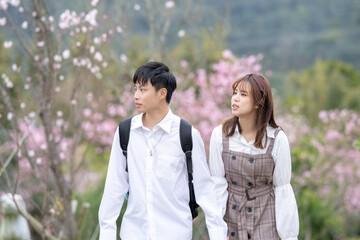 A young Taiwanese male and female couple in their 20s are taking a walk while talking happily in the mountains where the cherry blossoms of the Maokong are blooming, a tourist destination in Taiwan. 2
