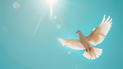 A close-up shot of a single white dove soaring towards a bright blue sky, representing the Holy Spirit