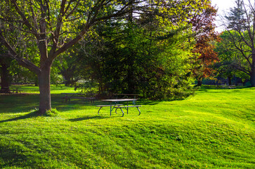 Fototapeta premium bench in the park