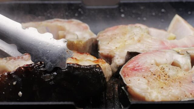 Cooking fillet sturgeon beluga white fat fish on grill or frying pan with oil close-up. Roast healthy food concept. Fry sturgeon, hake, cod fish steak pieces fillet. Healthy diet