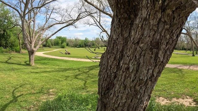 Walking path through a public camping area with a pecan tree on a spring day in Wilson County, Texas near the city of Floresville. 