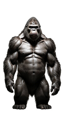 Kingkong isolated on transparent background