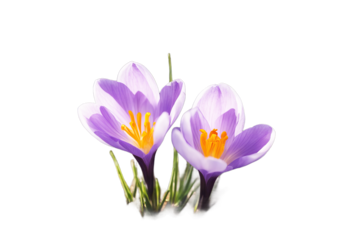 Mallorca port Ragged coast Spain Soller Sky Summer Travel Nature Tree Landscape Road Sea Mountain Green Mountains Vacation Stone Natural Rock Island Tourism Mediterranean Wildlife Coastline