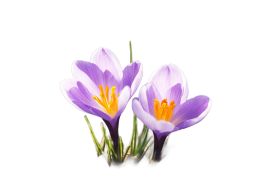 Mallorca port Ragged coast Spain Soller Sky Summer Travel Nature Tree Landscape Road Sea Mountain Green Mountains Vacation Stone Natural Rock Island Tourism Mediterranean Wildlife Coastline