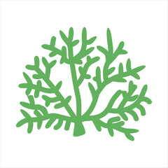 Algae plant abstract vector element