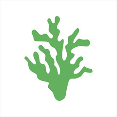 Algae plant abstract vector element