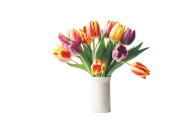 test fferent hybrids image agricultural sorts Aerial cereal shoot drone plots crops Texture Food Nature Landscape Education Agriculture Science Wheat Training Industry Top view Growth Engineering