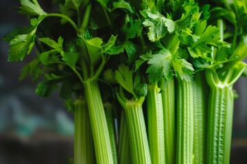 Fresh green celery with water droplets