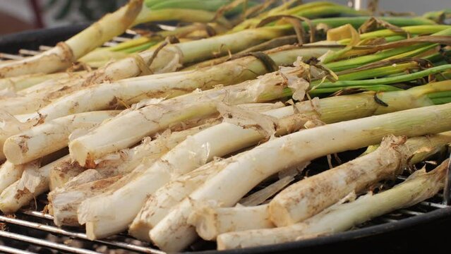 Traditional Spanish catalan green winter onion calcots, spring green season grill barbecue, vegan bbq with fire in Barcelona, Catalonia. Close up of grilling green onion.